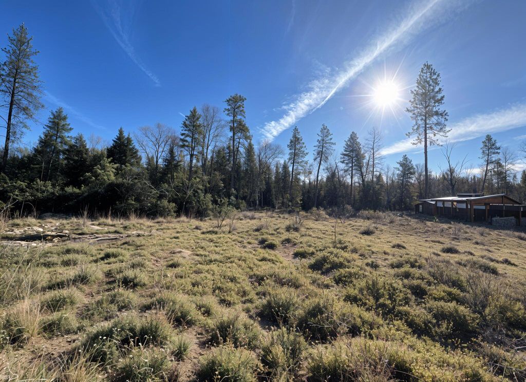 274 Maureen Drive, Cave Junction, OR 97523