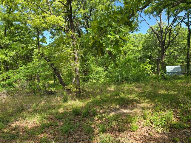 Lot 699 Shady Grove Road, Gun Barrel City, TX 75156
