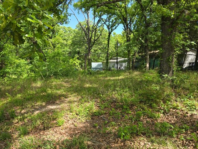 Lot 699 Shady Grove Road, Gun Barrel City, TX 75156
