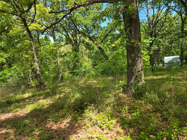 Lot 699 Shady Grove Road, Gun Barrel City, TX 75156