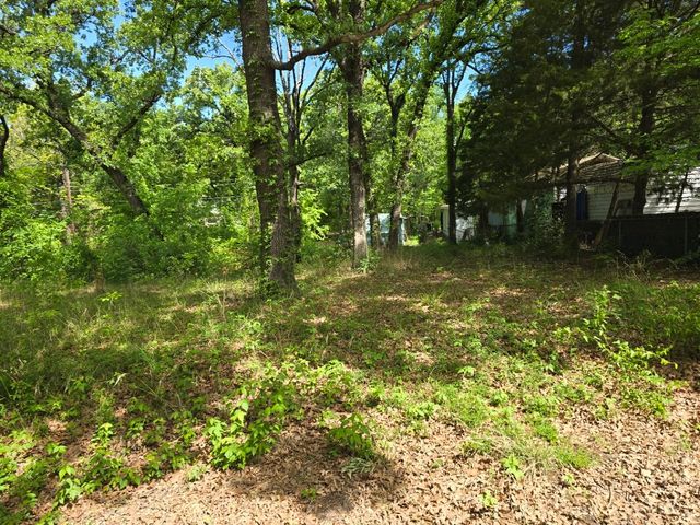 Lot 699 Shady Grove Road, Gun Barrel City, TX 75156