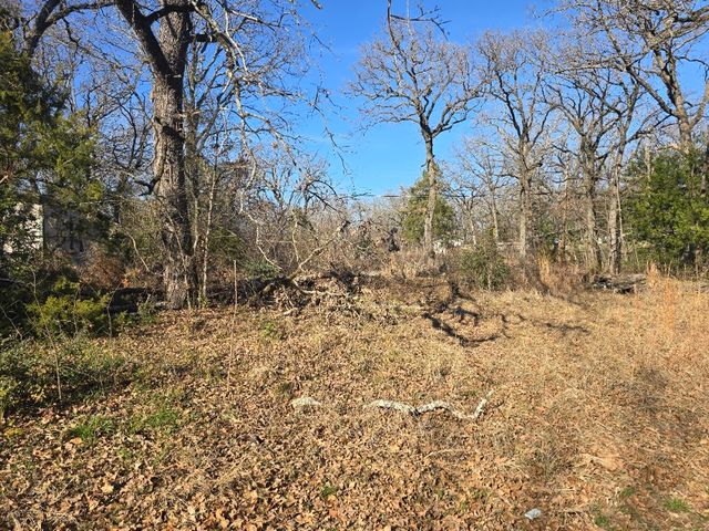 Lot 699 Shady Grove Road, Gun Barrel City, TX 75156