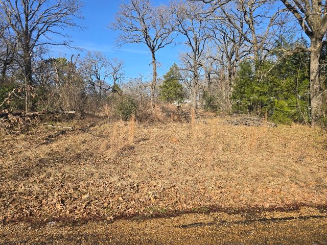 Lot 699 Shady Grove Road, Gun Barrel City, TX 75156