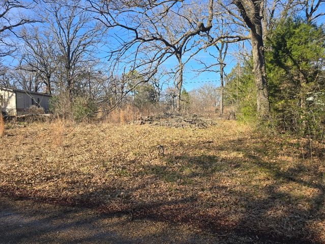 Lot 699 Shady Grove Road, Gun Barrel City, TX 75156