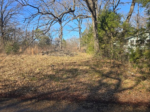 Lot 699 Shady Grove Road, Gun Barrel City, TX 75156