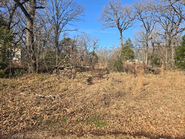 Lot 699 Shady Grove Road, Gun Barrel City, TX 75156