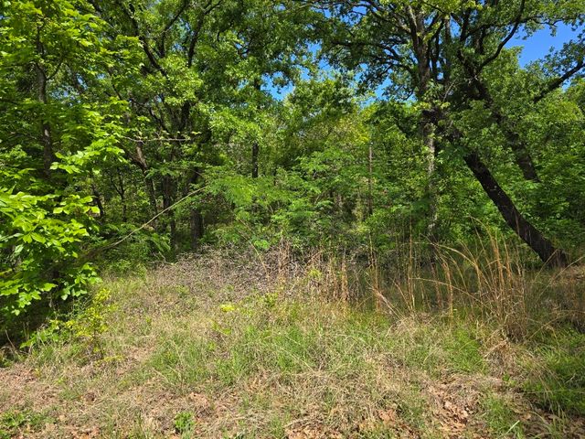 Lot 699 Shady Grove Road, Gun Barrel City, TX 75156