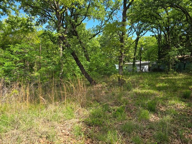 Lot 699 Shady Grove Road, Gun Barrel City, TX 75156