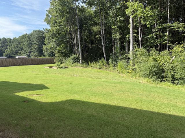 373 Abingdon Farms Drive, Selma, NC 27576
