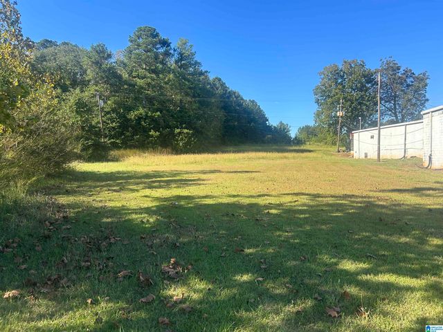 35161 HIGHWAY 21 N, Talladega, AL 35160