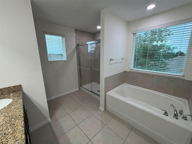 1236 WATER WILLOW DRIVE, Groveland, FL 34736