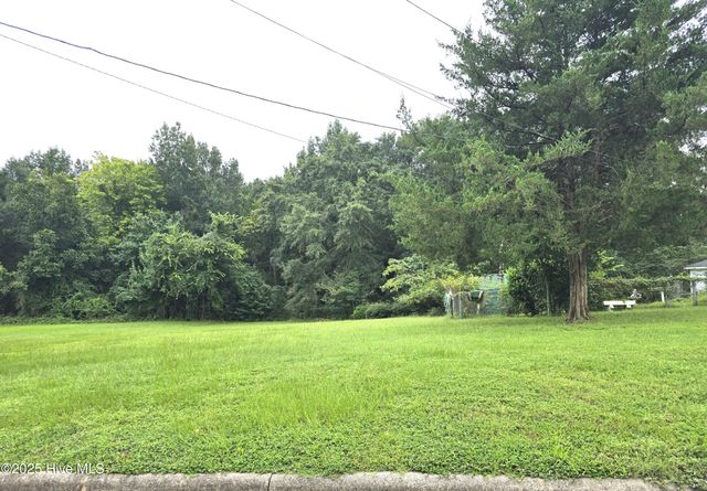 533 E Saint James Street, Tarboro, NC 27886