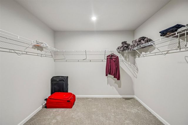 19405 MONARCH WIND WAY, Lutz, FL 33558