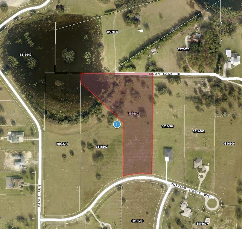 CUTTING HORSE WAY, Groveland, FL 34736