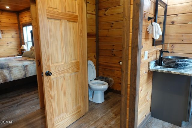 3226 White Falcon Way, Pigeon Forge, TN 37862