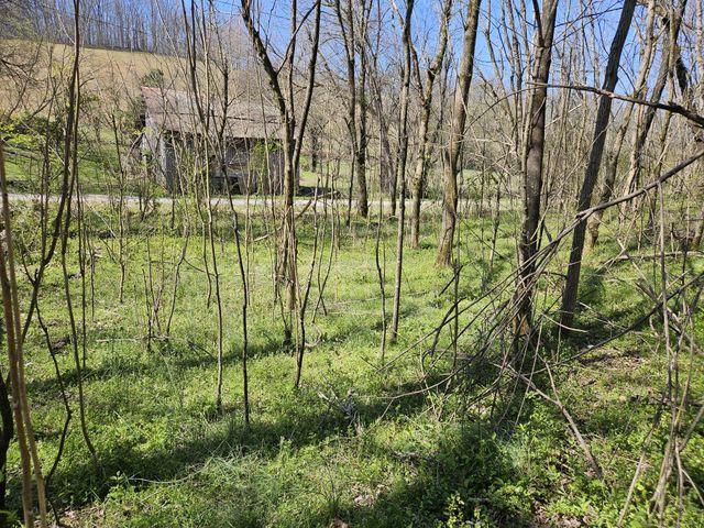 2515 Smith Hollow Rd, Lynnville, TN 38472