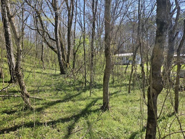 2515 Smith Hollow Rd, Lynnville, TN 38472