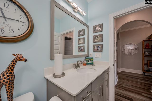 820 Dutchmaster Drive, Chapin, SC 29036