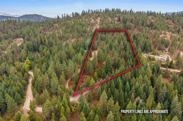 1263 Valley View Dr, Newport, WA 99156