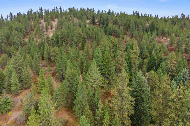 1263 Valley View Dr, Newport, WA 99156