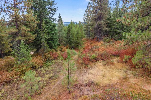 1263 Valley View Dr, Newport, WA 99156