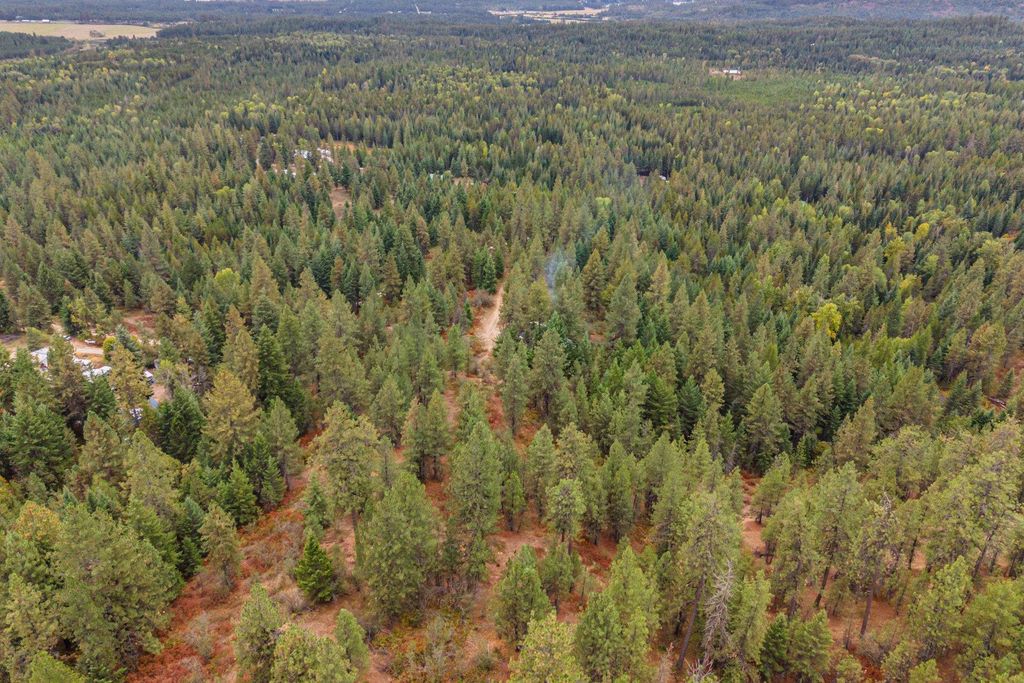 1263 Valley View Dr, Newport, WA 99156 photo 17