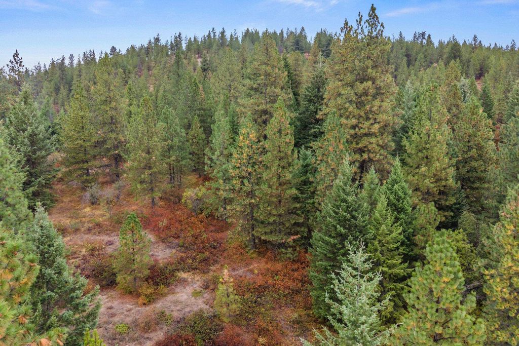 1263 Valley View Dr, Newport, WA 99156 photo 18