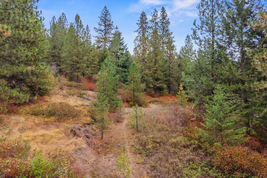 1263 Valley View Dr, Newport, WA 99156 photo 8