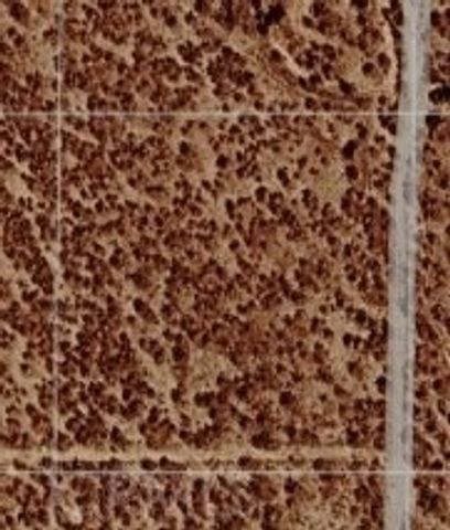 35812113 .,, Rosamond, CA 93560