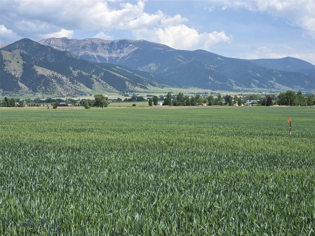 Lot 3 Penwell Bridge Road, Belgrade, MT 59714