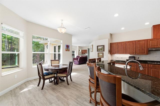 4453 LAKE IN THE WOODS DRIVE, Spring Hill, FL 34607