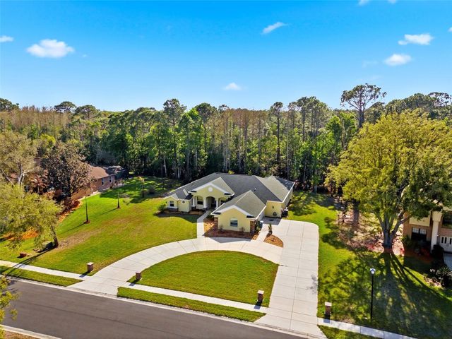 4453 LAKE IN THE WOODS DRIVE, Spring Hill, FL 34607