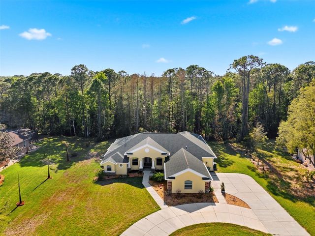 4453 LAKE IN THE WOODS DRIVE, Spring Hill, FL 34607