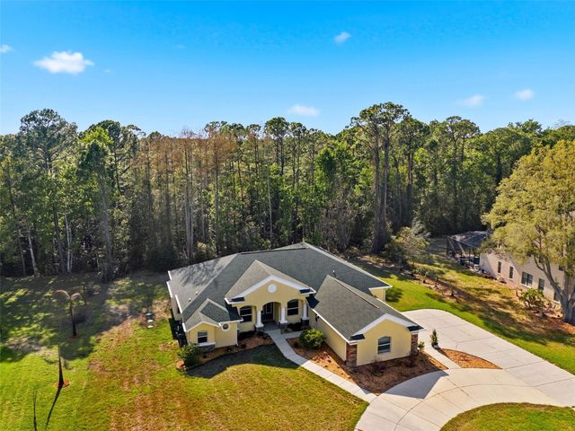 4453 LAKE IN THE WOODS DRIVE, Spring Hill, FL 34607