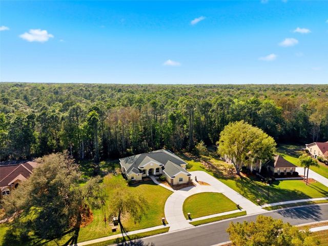 4453 LAKE IN THE WOODS DRIVE, Spring Hill, FL 34607
