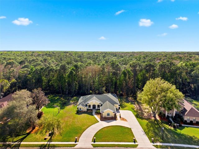 4453 LAKE IN THE WOODS DRIVE, Spring Hill, FL 34607