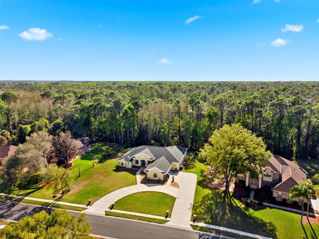 4453 LAKE IN THE WOODS DRIVE, Spring Hill, FL 34607
