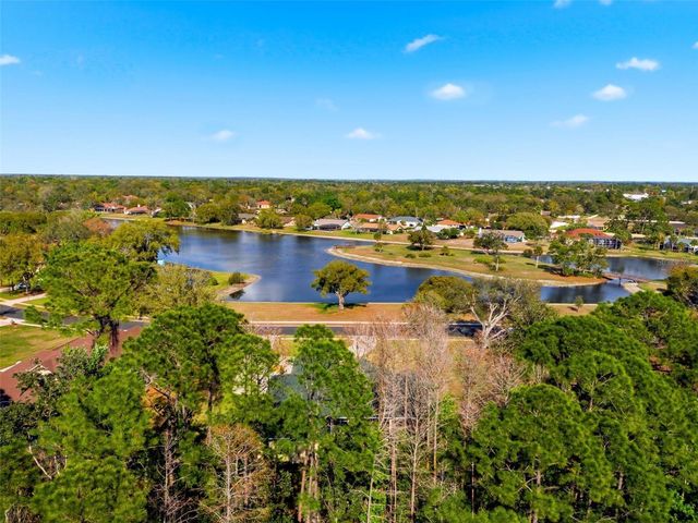 4453 LAKE IN THE WOODS DRIVE, Spring Hill, FL 34607