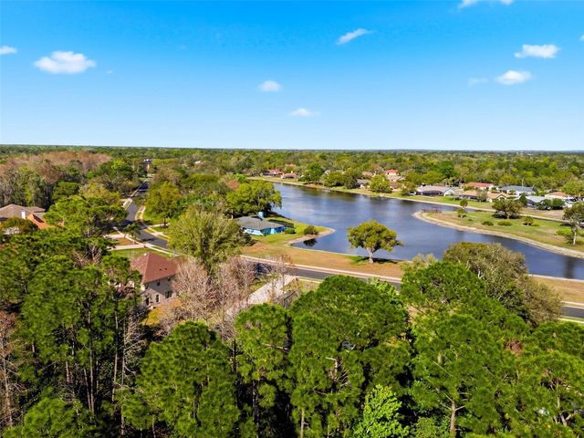 4453 LAKE IN THE WOODS DRIVE, Spring Hill, FL 34607