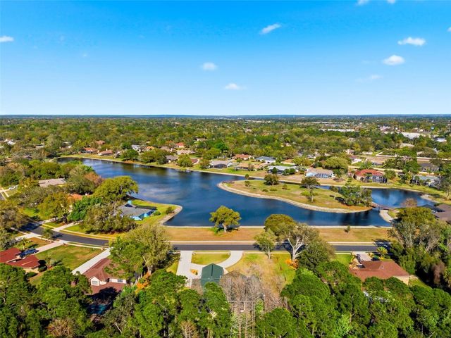 4453 LAKE IN THE WOODS DRIVE, Spring Hill, FL 34607