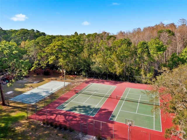 4453 LAKE IN THE WOODS DRIVE, Spring Hill, FL 34607