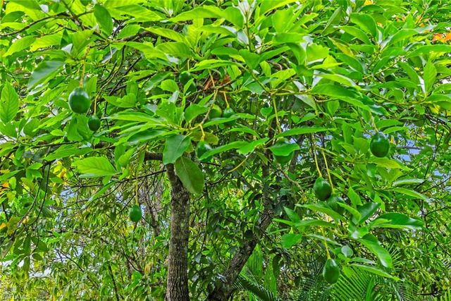 5730 Golden Gate PKWY, Naples, FL 34116