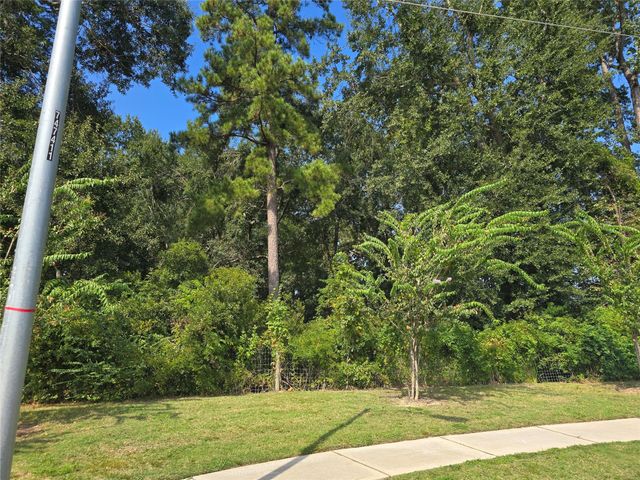 9511 Aliaga Terrace Court, Tomball, TX 77375