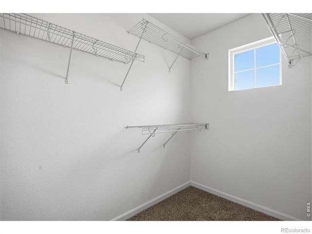 153 Brass Court, Loveland, CO 80537