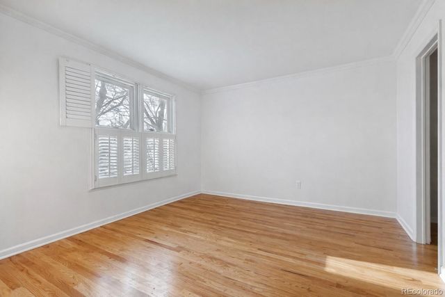 943 Jersey Street, Denver, CO 80220