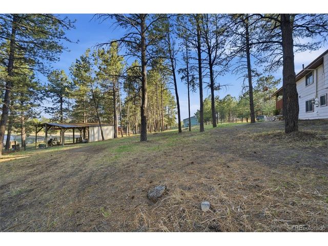 11486 Ponderosa Ln, Franktown, CO 80116