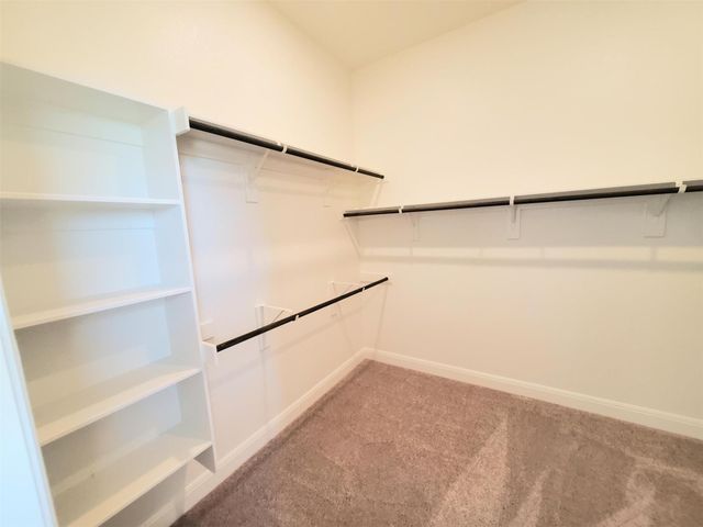 100 Royal Fern RD, Hutto, TX 78634