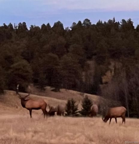 413 W Lake Drive, Divide, CO 80814