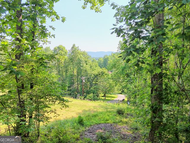 28 Coon Tail Road, Blairsville, GA 30512