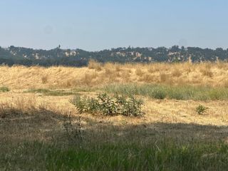 22626 Rio Alto Drive, Cottonwood, CA 96022